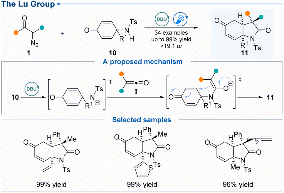 Lighting the way to diverse cyclic architectures: expanding