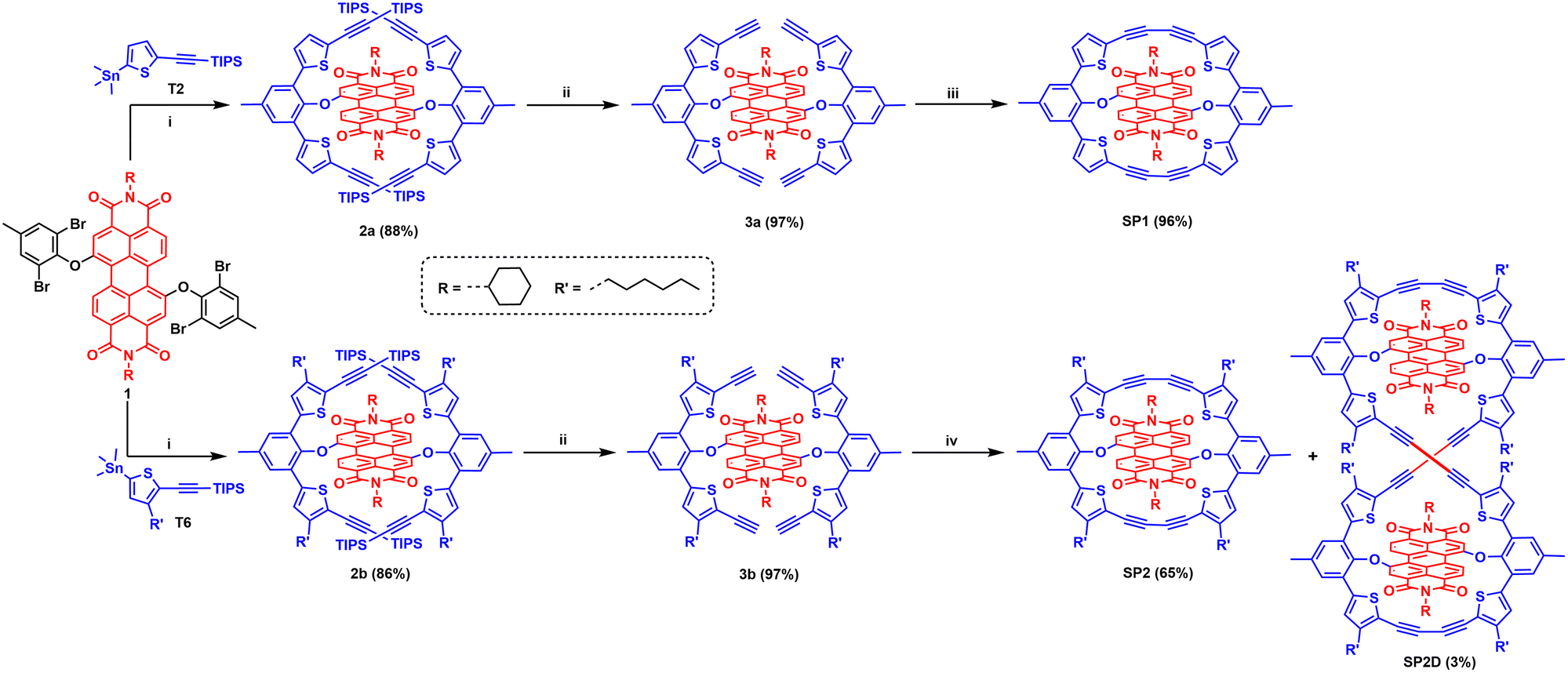 A donor strapped perylene bisimide macrocycle and its lemniscate