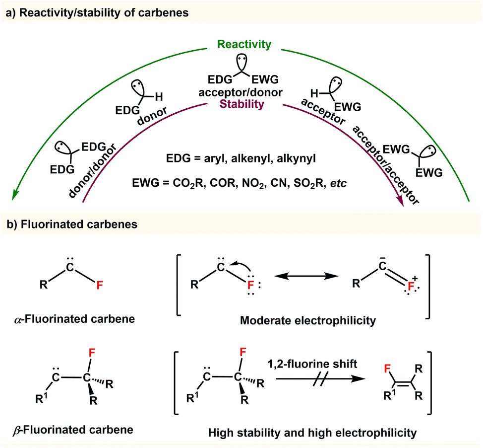 Dual-function enzyme catalysis for enantioselective carbon–nitrogen bond  formation