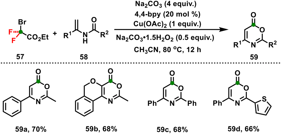 Dual-function enzyme catalysis for enantioselective carbon–nitrogen bond  formation