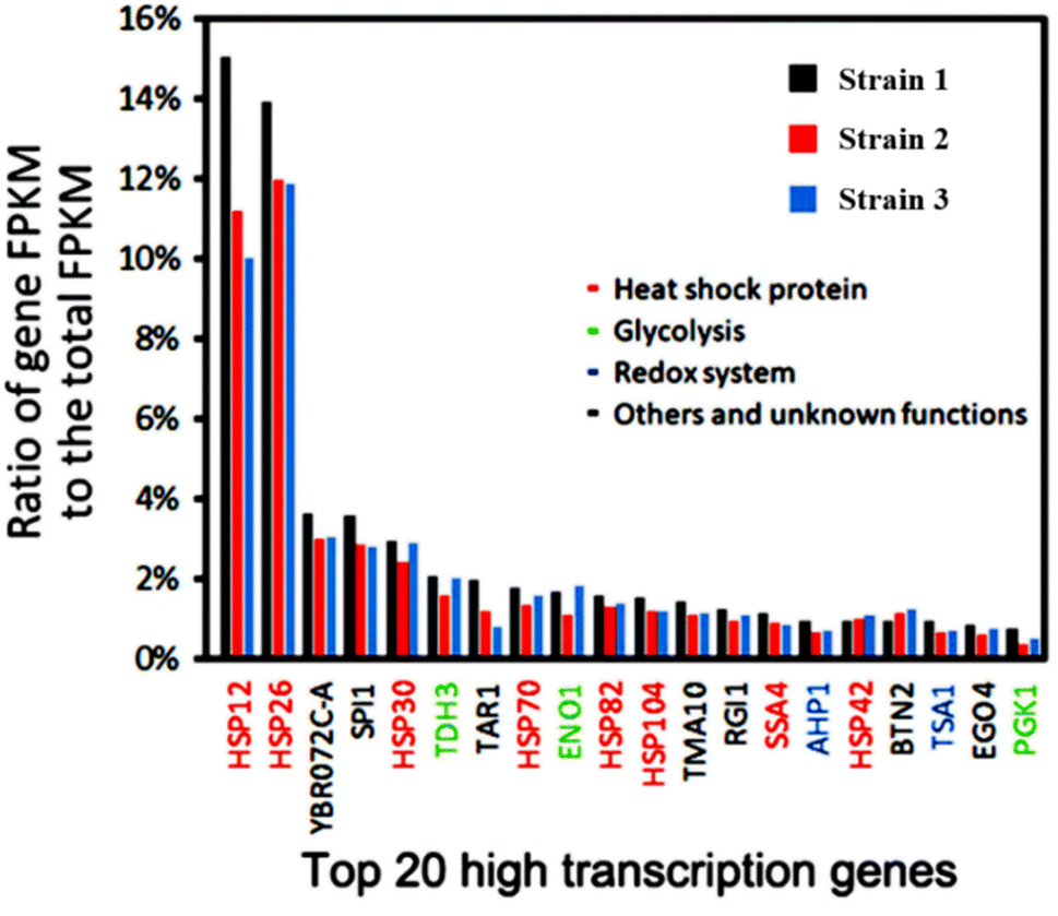 The Heat Shock Response in Yeast Maintains Protein Homeostasis by