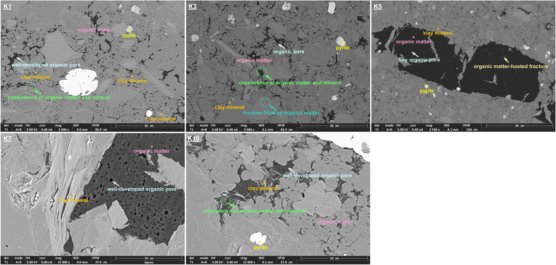 Occurrence of moisture in deep gas-bearing shale matrix and its 