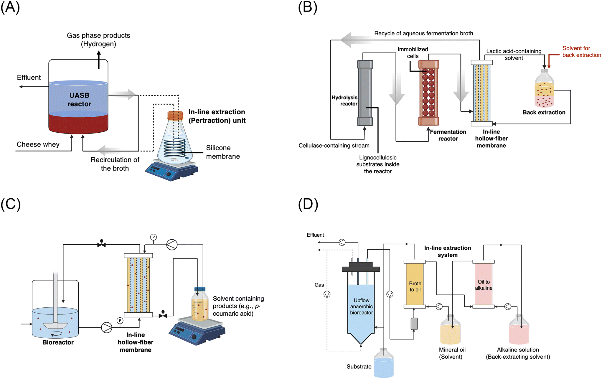 Bioreaction, Plant Oil Extraction