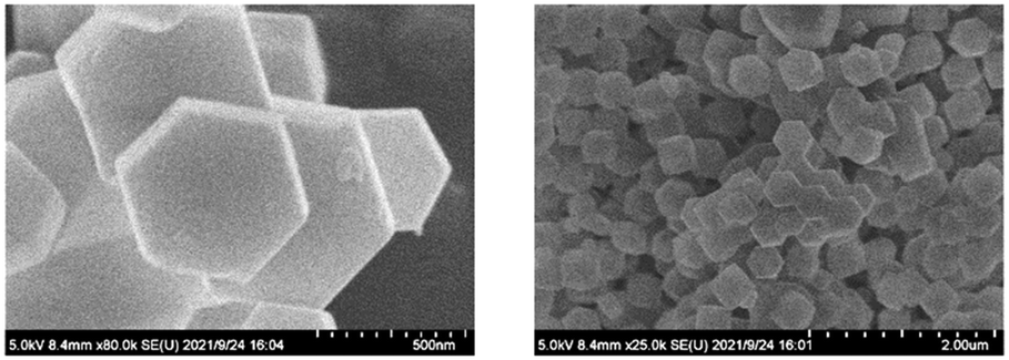 Desulfurization of diesel via joint adsorption and extraction 