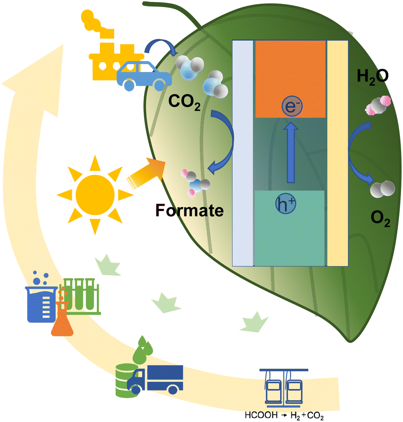 Photoelectrochemical and electrochemical CO 2 reduction to formate 