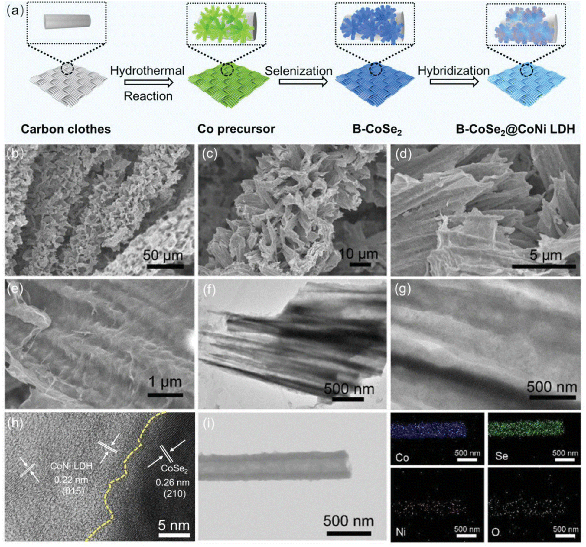 Intrinsic kinetic equation for oxygen reduction reaction in acidic media:  the double Tafel slope and fuel cell applications - Faraday Discussions  (RSC Publishing) DOI:10.1039/B802218F