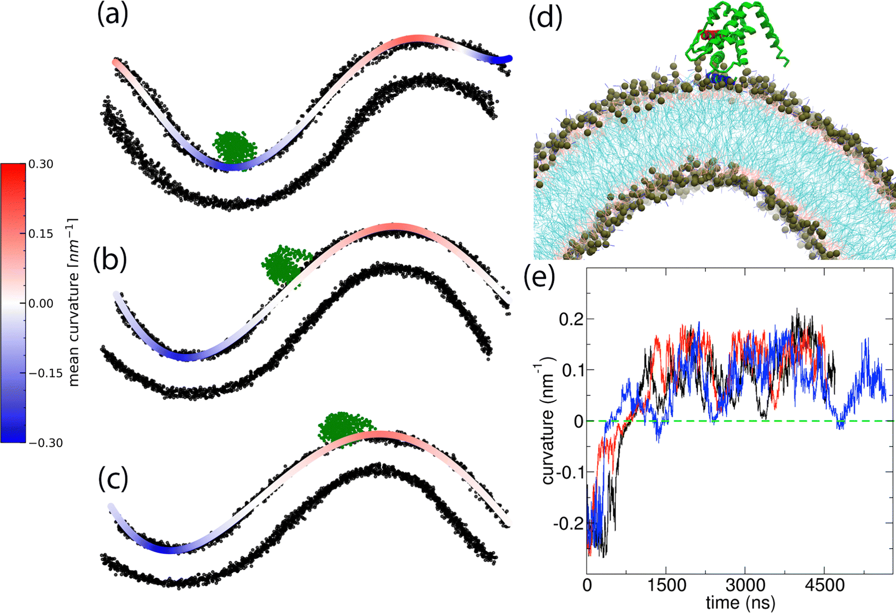 Simulation study of membrane bending by protein crowding: a case study with  the epsin N-terminal homology domain - Soft Matter (RSC Publishing)  DOI:10.1039/D3SM00280B