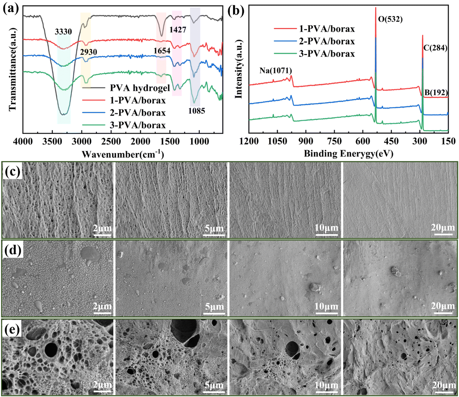 One possible mechanism of the formation of Borax-PVA Hydrogel