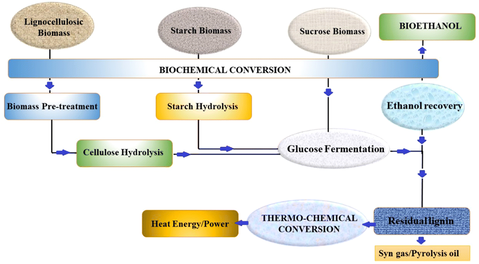 Full article: Recent advances in bioethanol production from Lignocellulosic  biomass