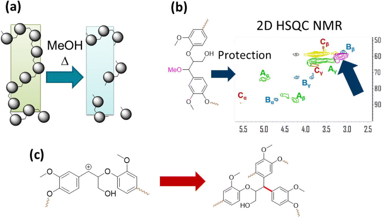 Kinetic and mechanistic insights into hydrogenolysis of lignin to