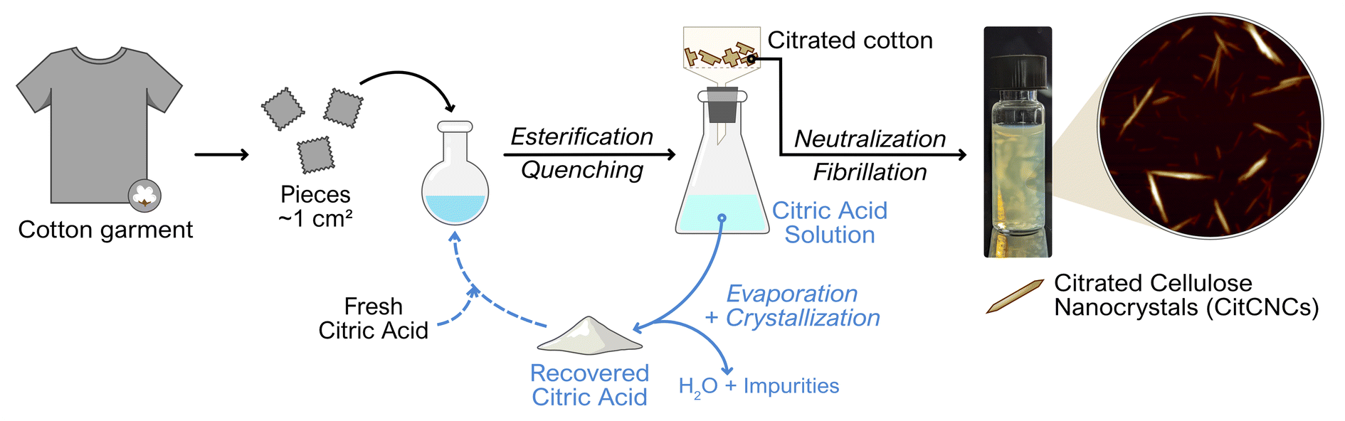 Cellulose Nanocrystals from Postconsumer Cotton and Blended