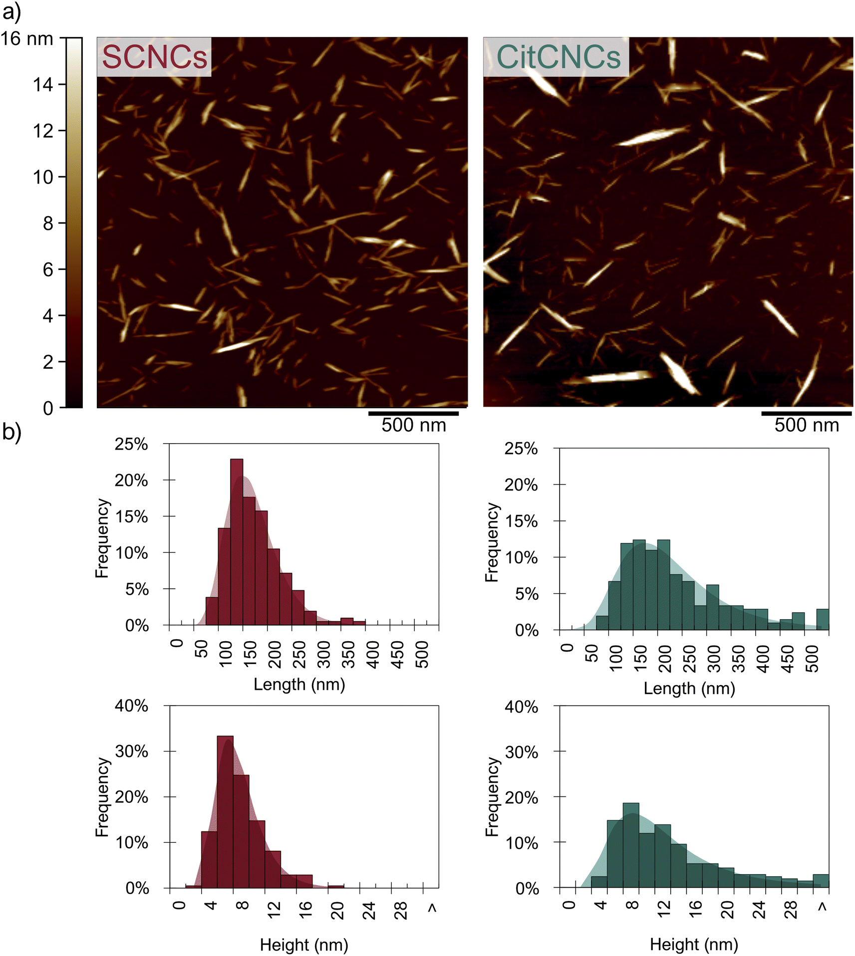 Cellulose Nanocrystals from Postconsumer Cotton and Blended