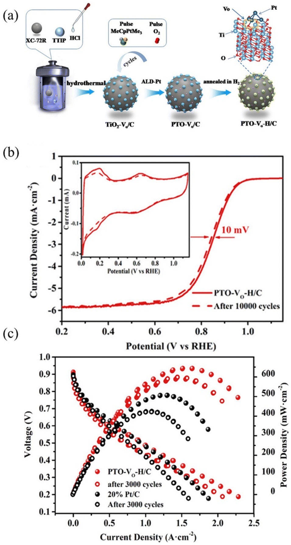Distortion-Induced Interfacial Charge Transfer at Single Cobalt Atom  Secured on Ordered Intermetallic Surface Enhances Pure Oxygen Production