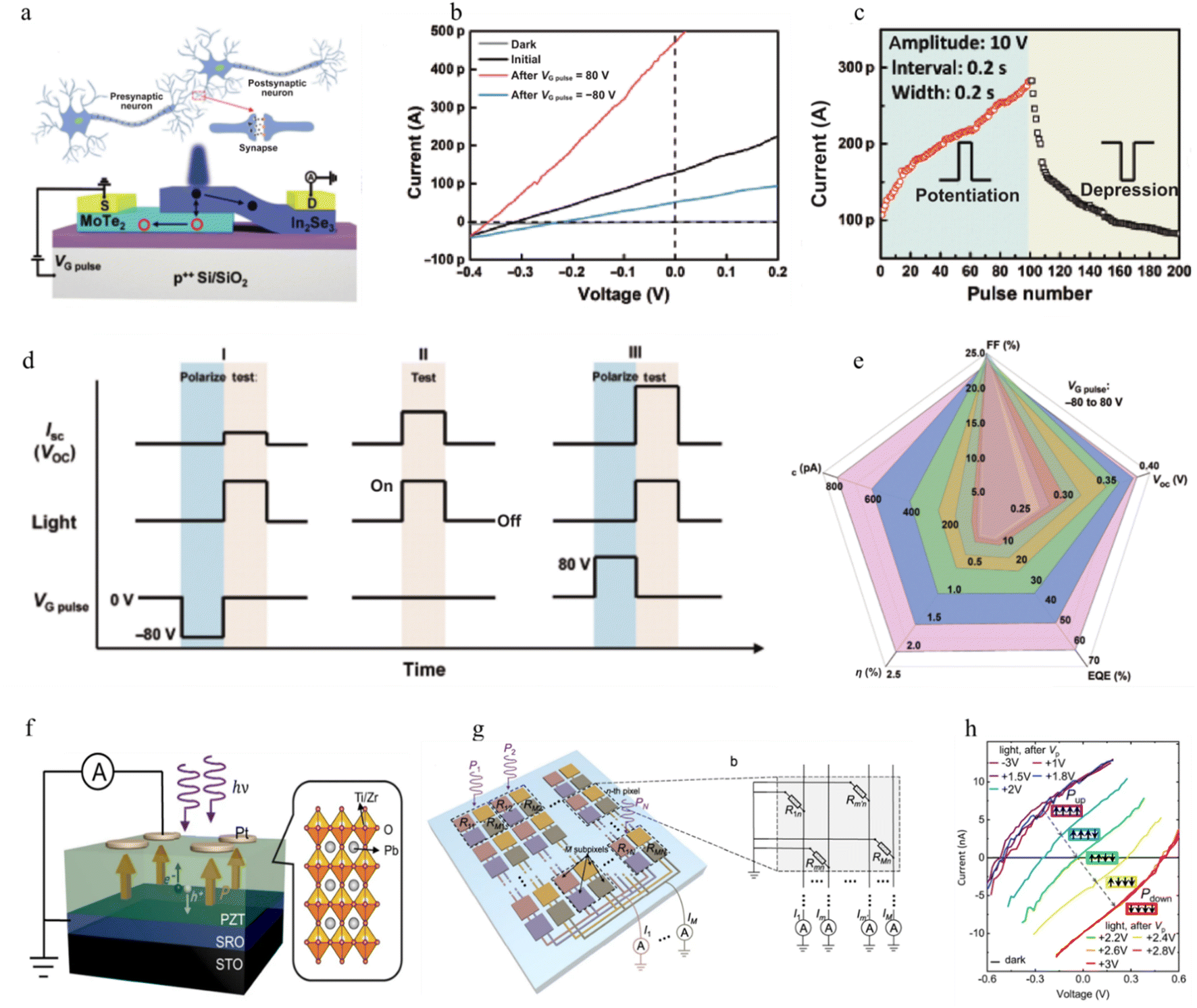 Recent progress in functional two-dimensional photovoltaic 