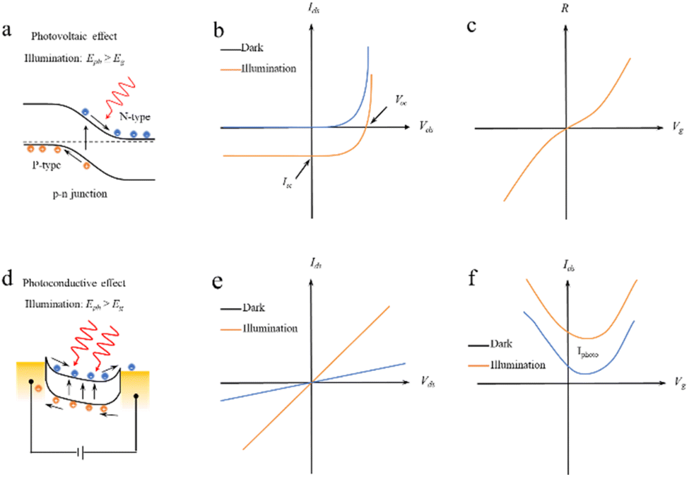Recent progress in functional two-dimensional photovoltaic Recent progress in functional two-dimensional photovoltaic