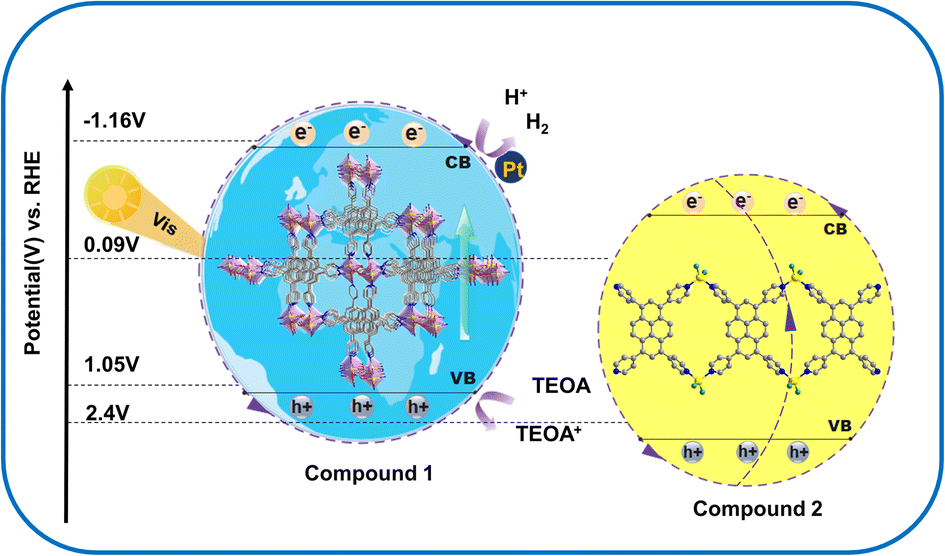 A strong-alkali resistant zinc–organic framework with 1,3,6