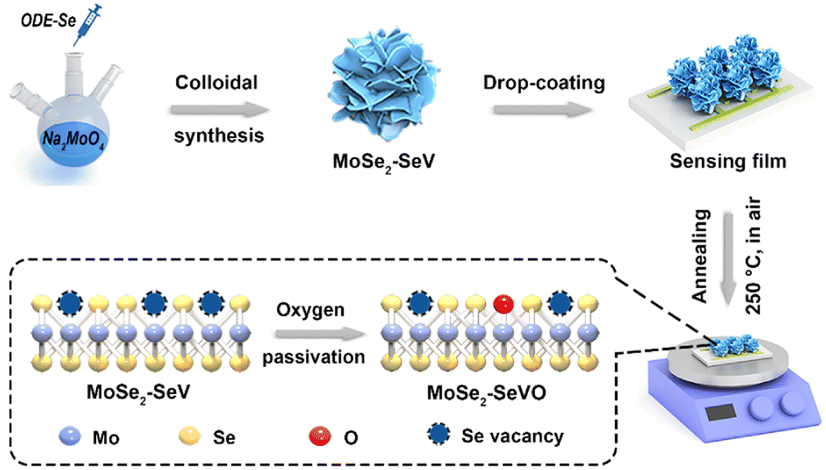 Tailoring selenium vacancies in MoSe 2 through oxygen passivation