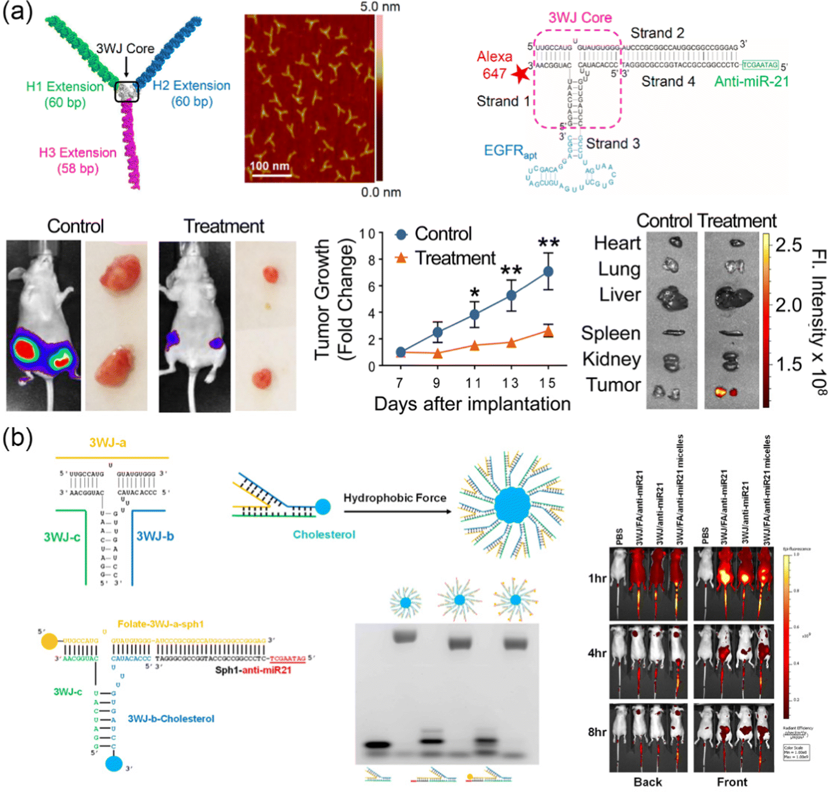 Nucleic acid-based artificial nanocarriers for gene therapy 