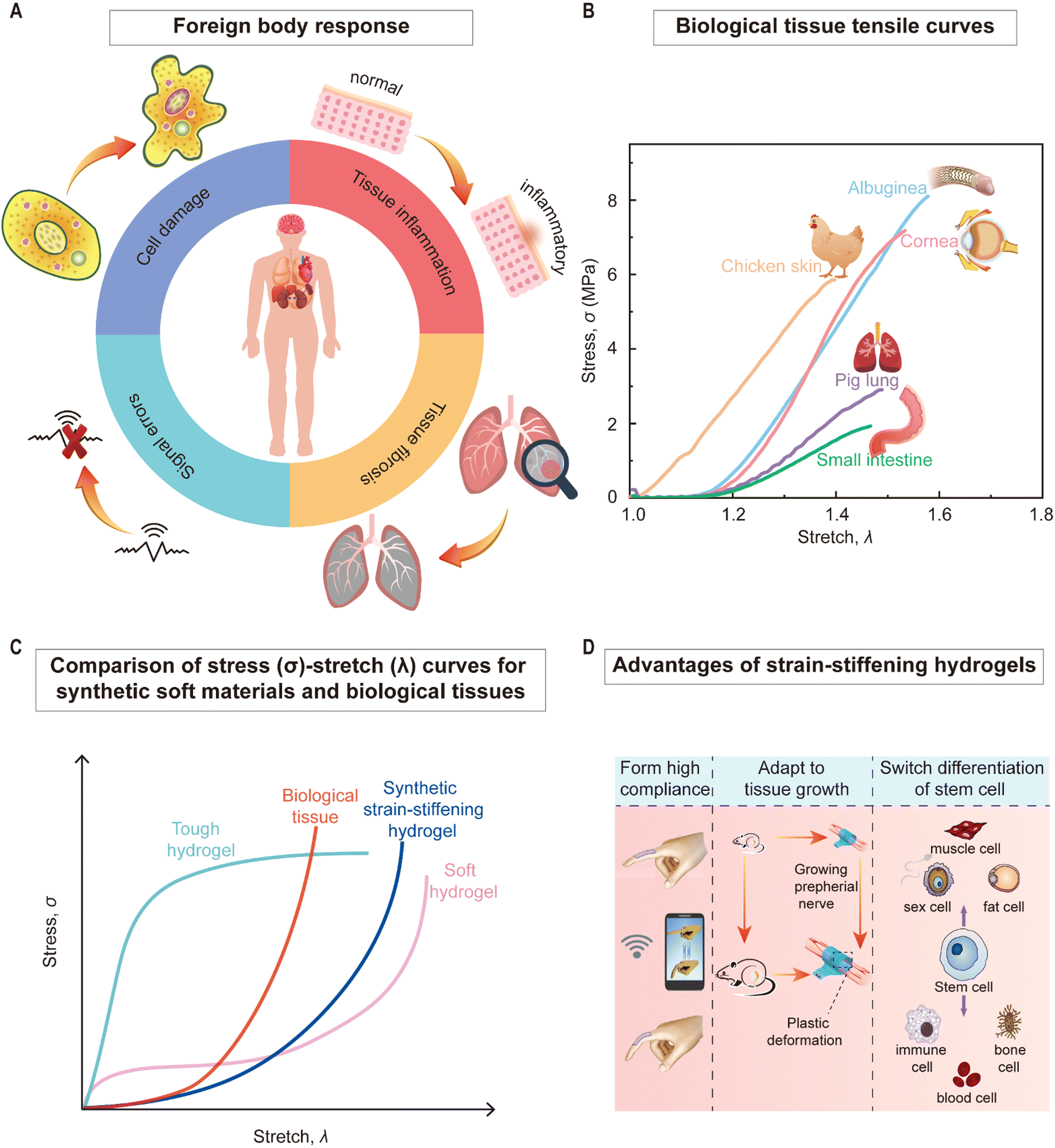 https://pubs.rsc.org/image/article/2023/TB/d2tb01743a/d2tb01743a-f2_hi-res.gif