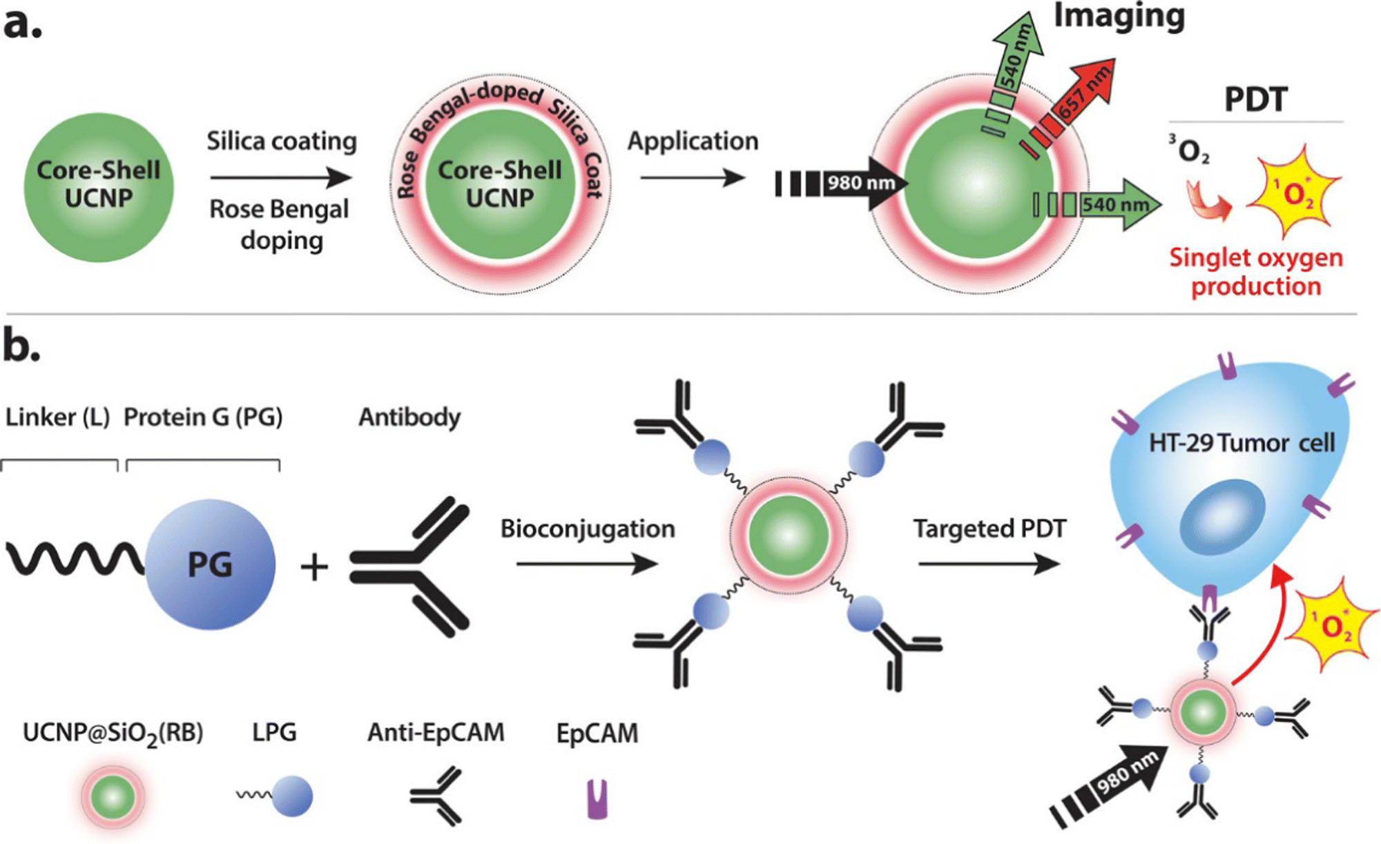 Recent advances in tumor biomarker detection by lanthanide