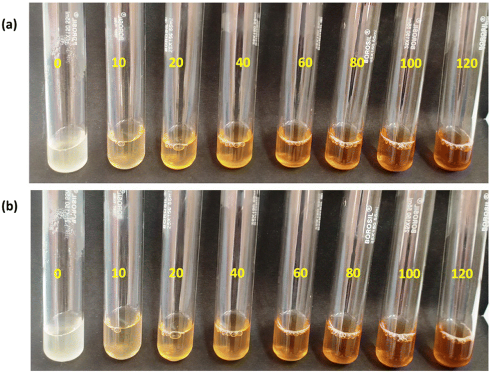 Screening Method for 30 Pesticides in Green Tea  - Thermo Fisher