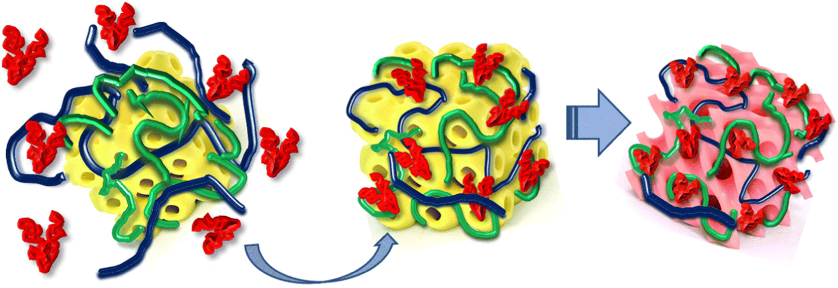 Interaction of polyelectrolyte-shell cubosomes with serum albumin for  triggering drug release in gastrointestinal cancer - Journal of Materials  Chemistry B (RSC Publishing) DOI:10.1039/D2TB02670H