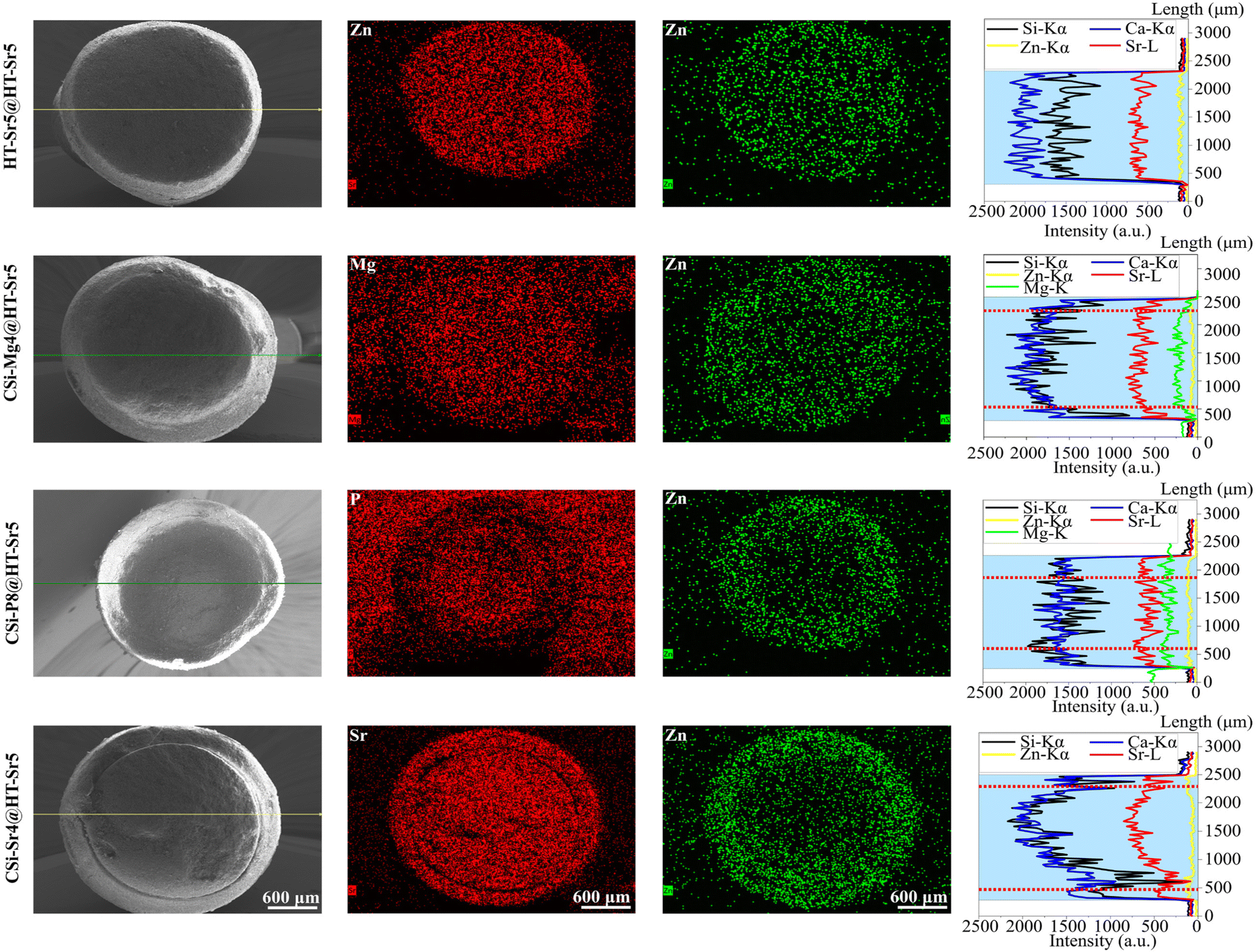 Core–shell bioceramic fiber-derived biphasic granules with adjustable core  compositions for tuning bone regeneration efficacy - Journal of Materials  Chemistry B (RSC Publishing) DOI:10.1039/D2TB02702J