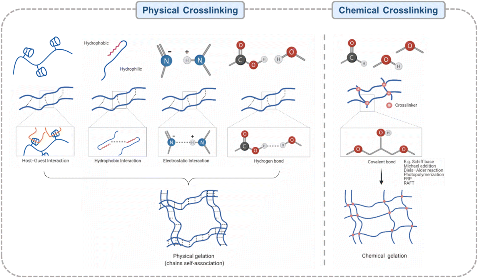 Nanocellulose-based hydrogels for drug delivery - Journal of