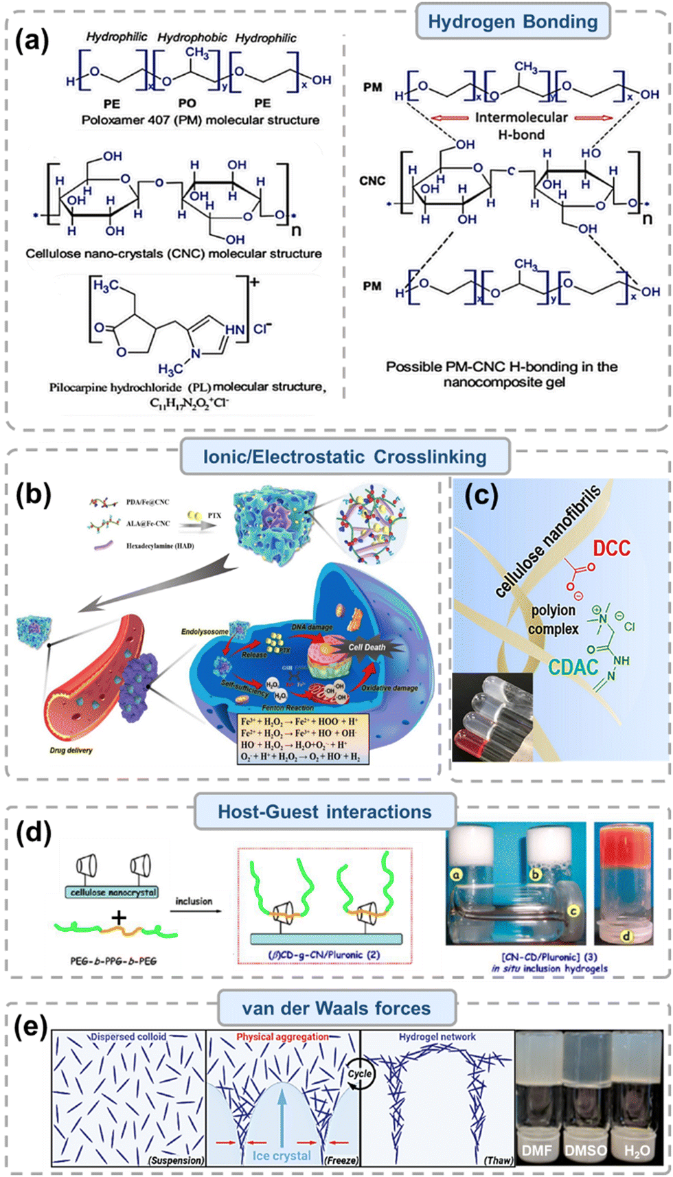 Nanocellulose-based hydrogels for drug delivery - Journal of 