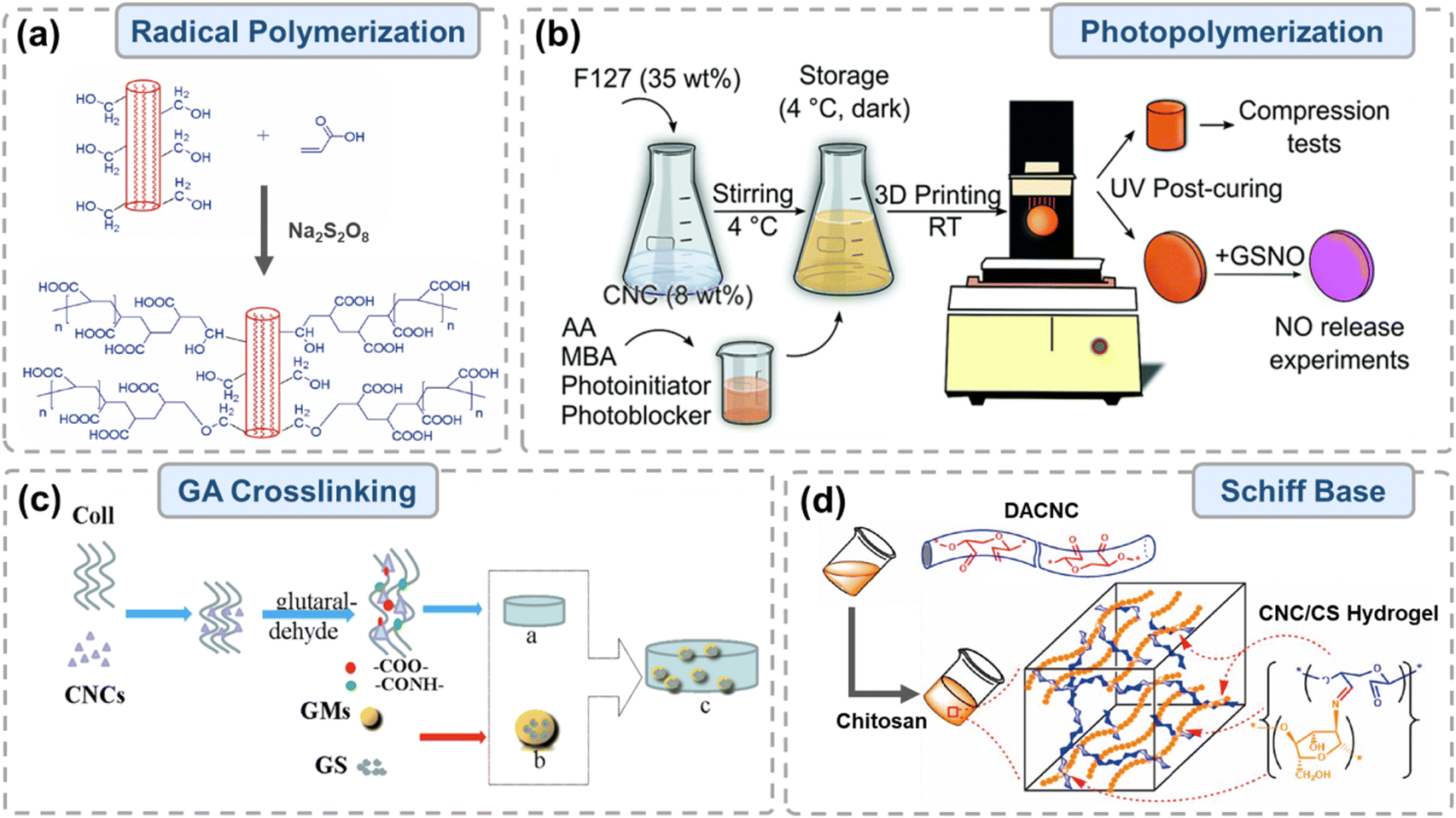 Nanocellulose-based hydrogels for drug delivery - Journal of 