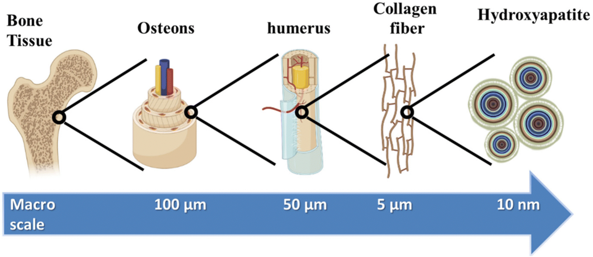 Advances in hydrogels for the treatment of periodontitis - Journal 