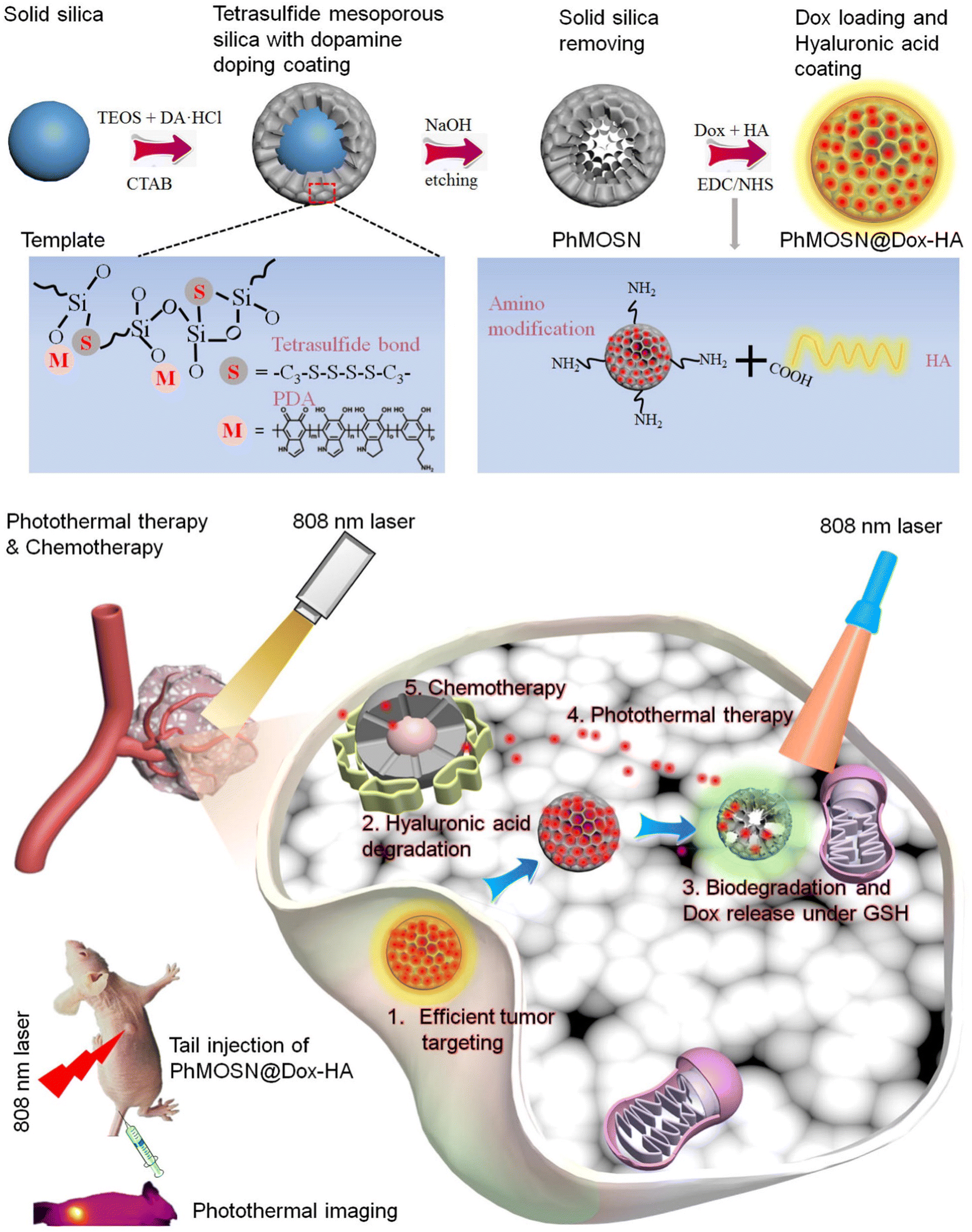 Design and fabrication of intracellular therapeutic cargo delivery