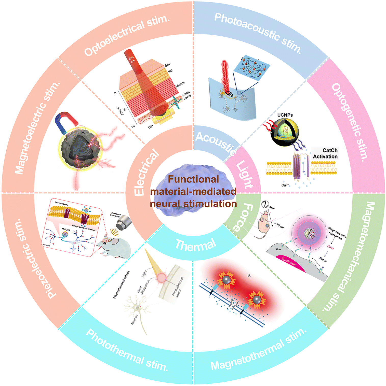 Functional material-mediated wireless physical stimulation for  neuro-modulation and regeneration - Journal of Materials Chemistry B (RSC  Publishing) DOI:10.1039/D3TB01354E