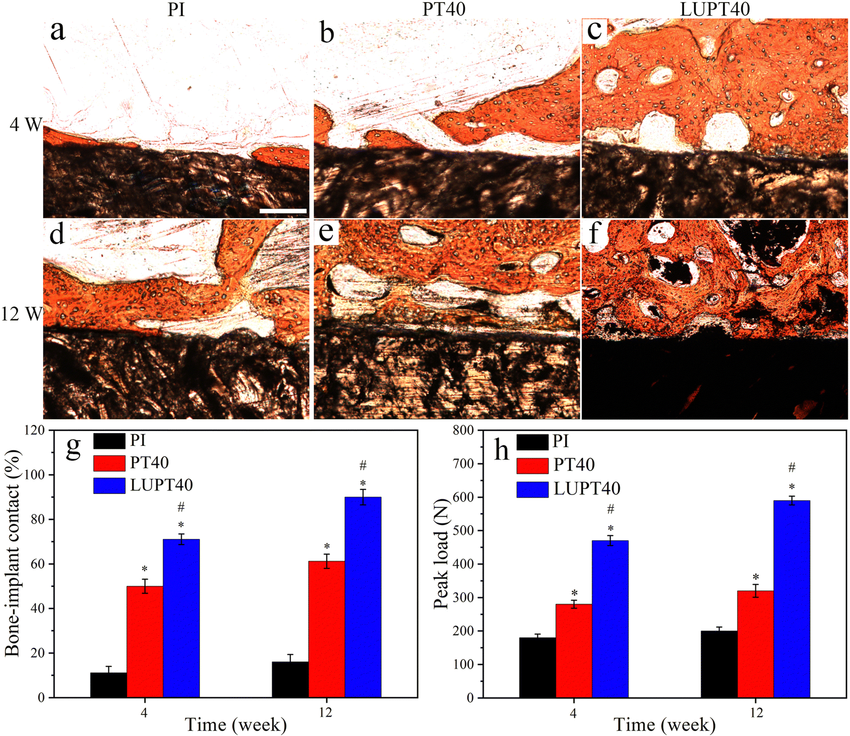 Luteolin-loaded biocomposites containing tantalum and polyimide 