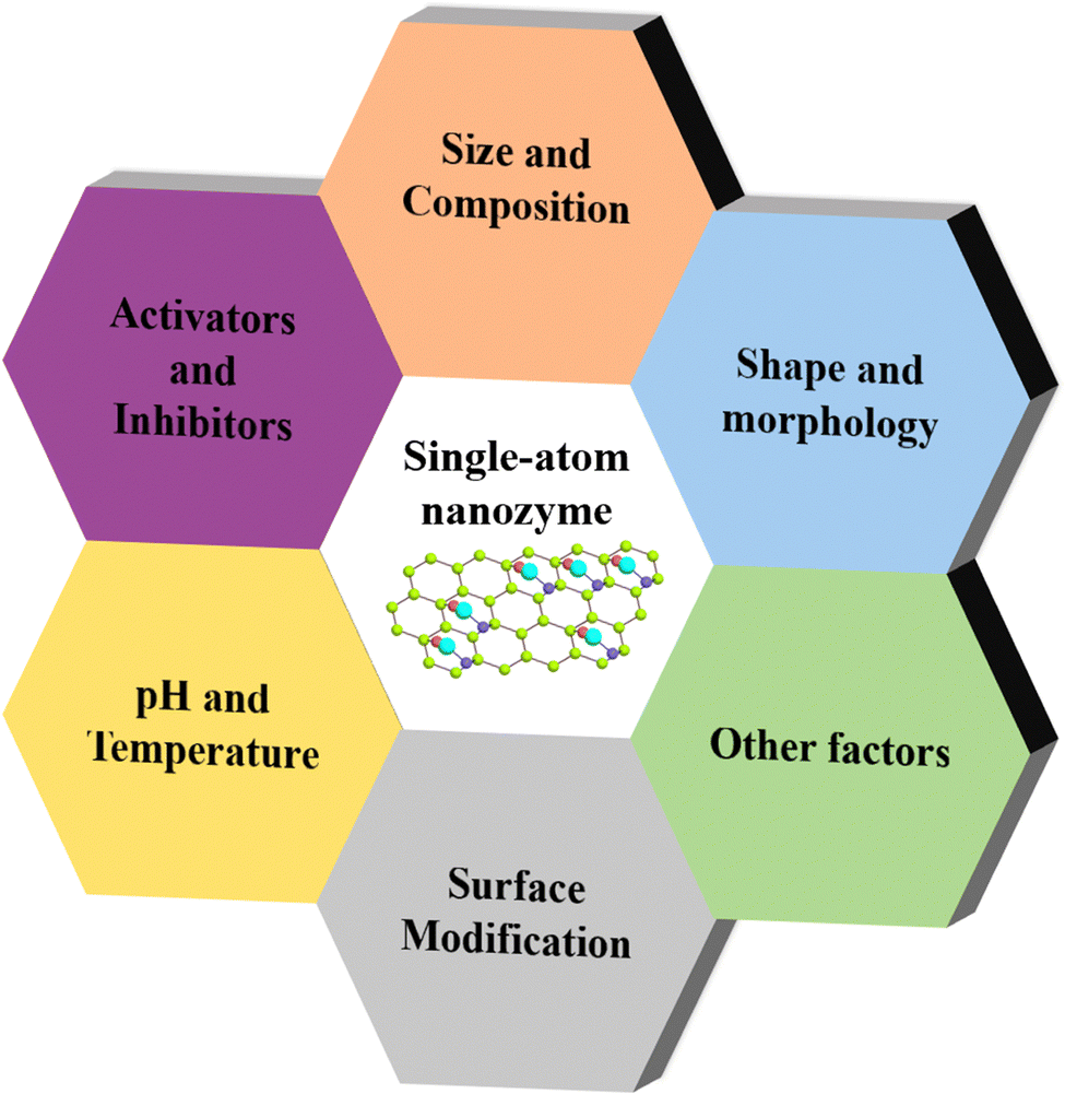 Single-atom nanozymes as promising catalysts for biosensing and