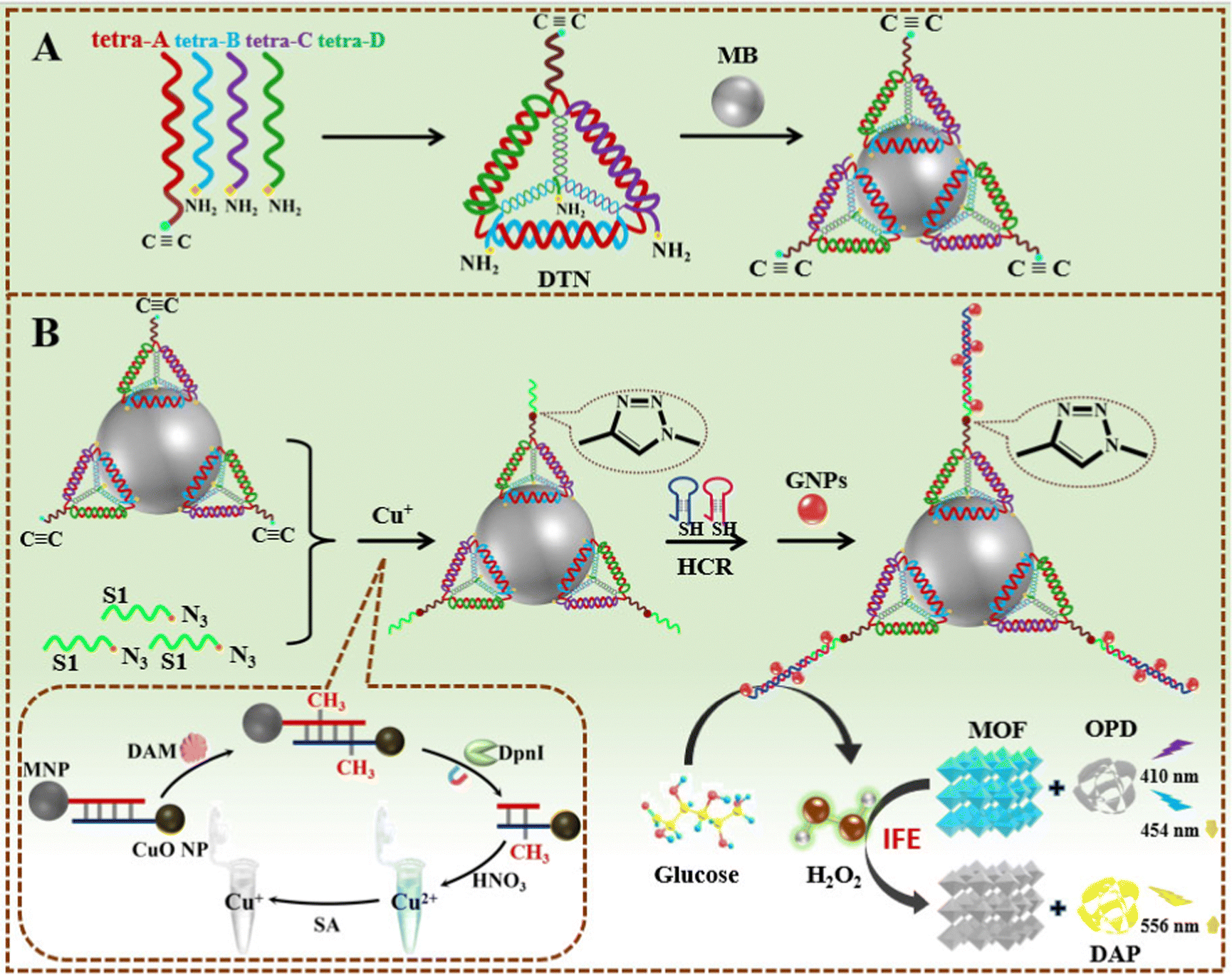 Tetrahedral DNA nanostructure-corbelled click chemistry-based large-scale  assembly of nanozymes for ratiometric fluorescence assay of DNA  methyltransf ... - Journal of Materials Chemistry B (RSC Publishing)  DOI:10.1039/D3TB01795H