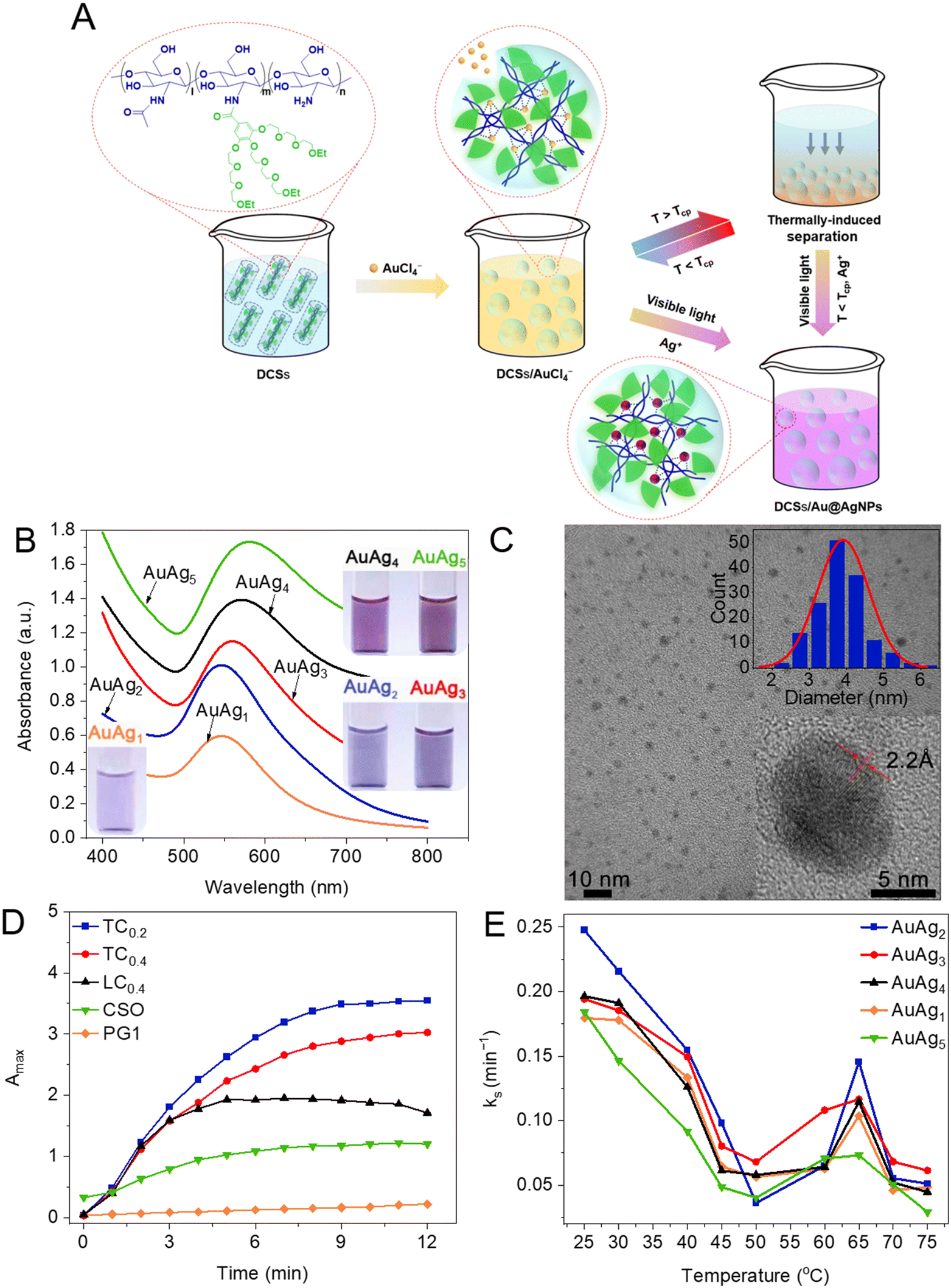 Dendronization of chitosan to afford unprecedent 