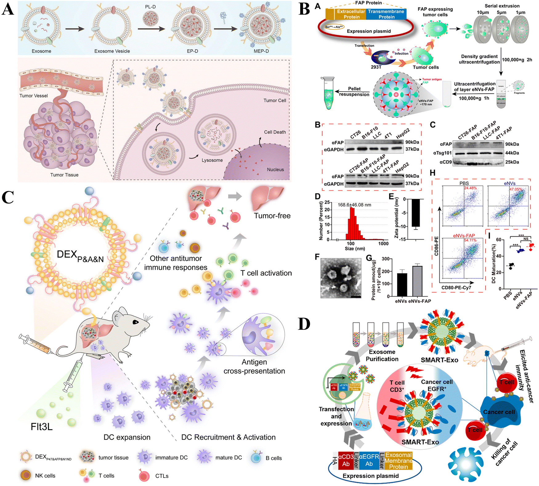 Application of exosomes as nanocarriers in cancer therapy - Journal of  Materials Chemistry B (RSC Publishing) DOI:10.1039/D3TB01991H