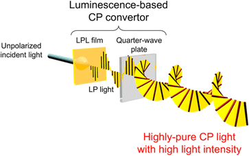 Reflection coefficients of p- and s-polarized light by a quarter