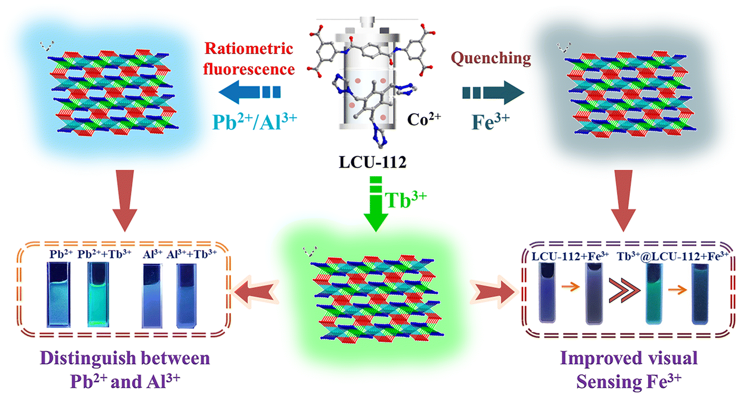 A multi-responsive luminescent Co( ii ) coordination polymer