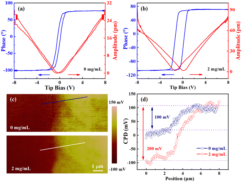 The effect of permanent electric dipoles on the stability and