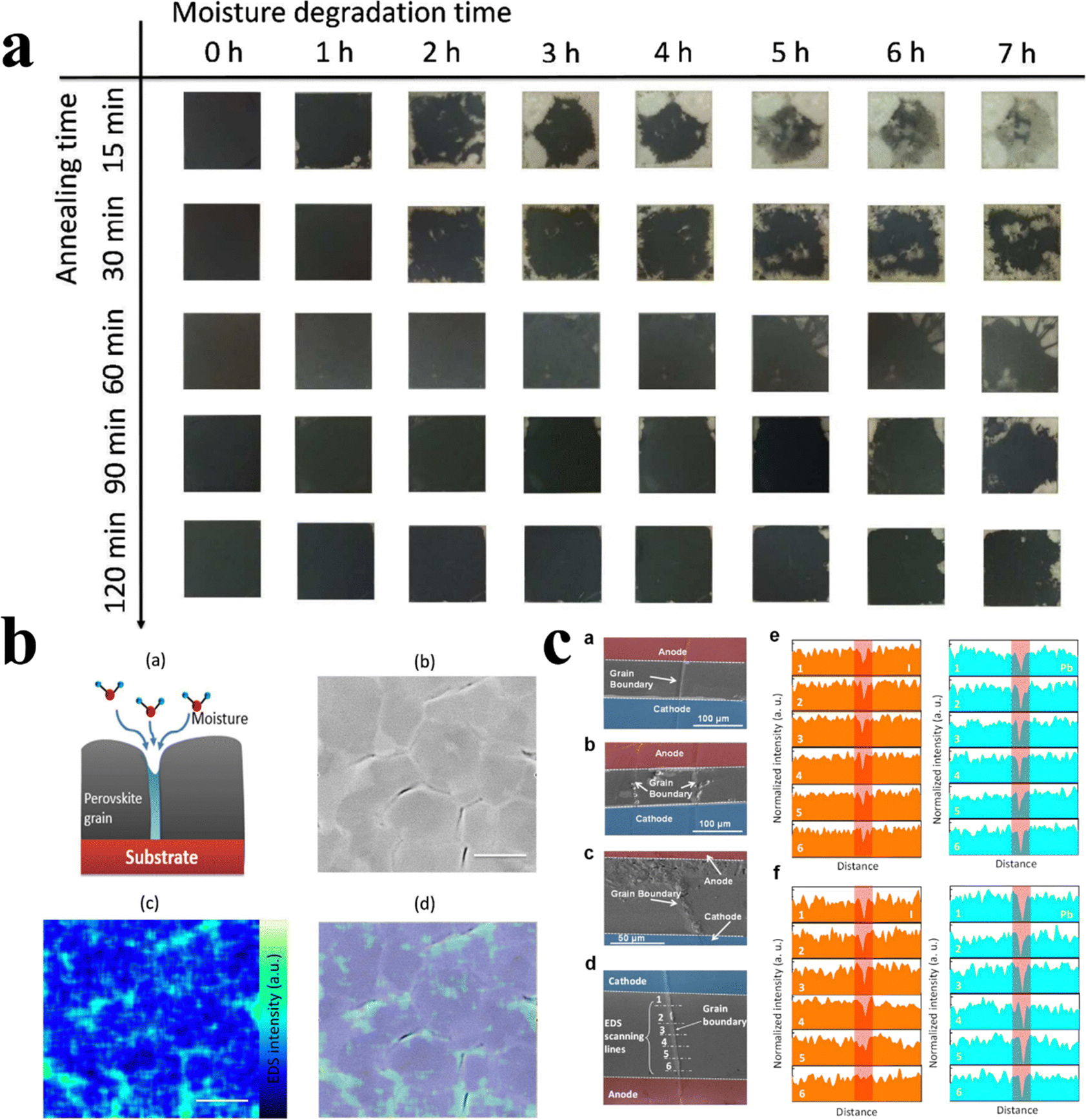 Advances of metal halide perovskite large-size single crystals in 