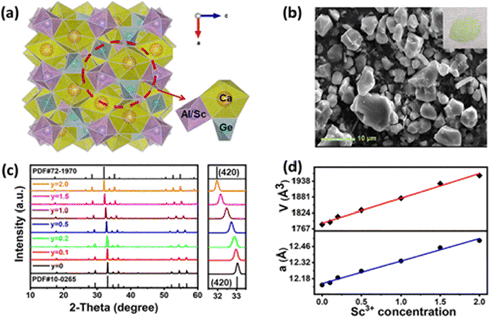 yo様 アディダスエックス adidas ZX 10000 Offspring LA】アディダス ゼット