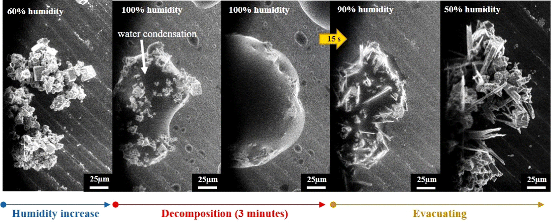 Water-induced dimensionality conversion from 3D perovskites