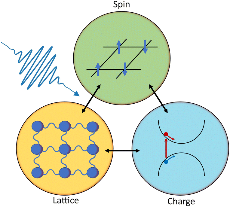 Disentangle electronic, structural, and spin dynamics using