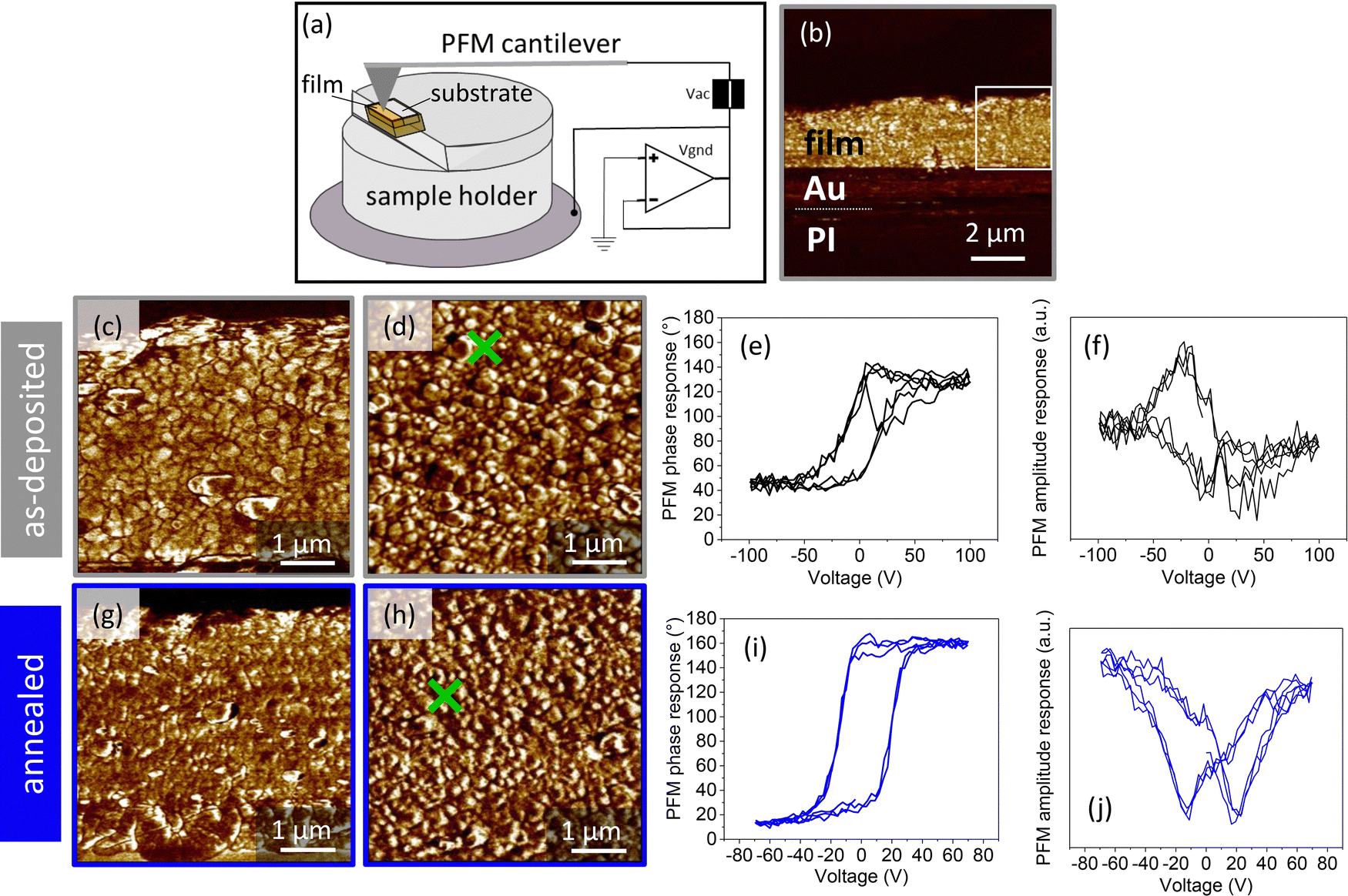 Multifunctional flexible ferroelectric thick-film structures with energy  storage, piezoelectric and electrocaloric performance - Journal of  Materials Chemistry C (RSC Publishing) DOI:10.1039/D3TC01555F