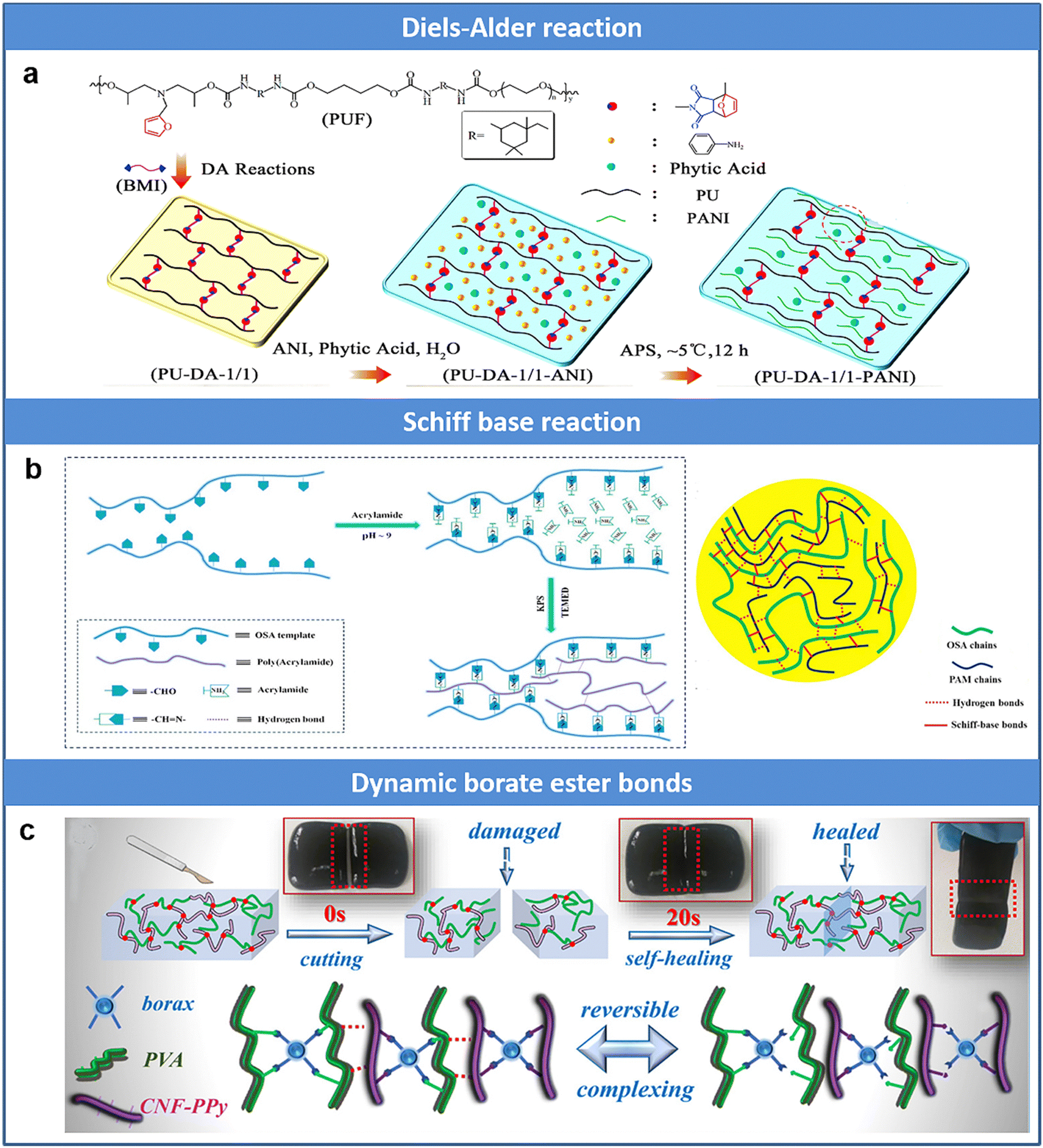 Conductive hydrogels for bioelectronics: molecular structures 