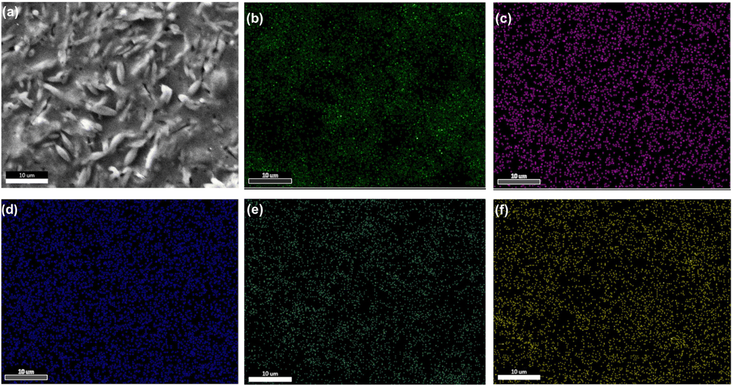 Optical microscope images, (a) 0h, (b) 16h, (c) 26h, (d) 38h and (e) 48h
