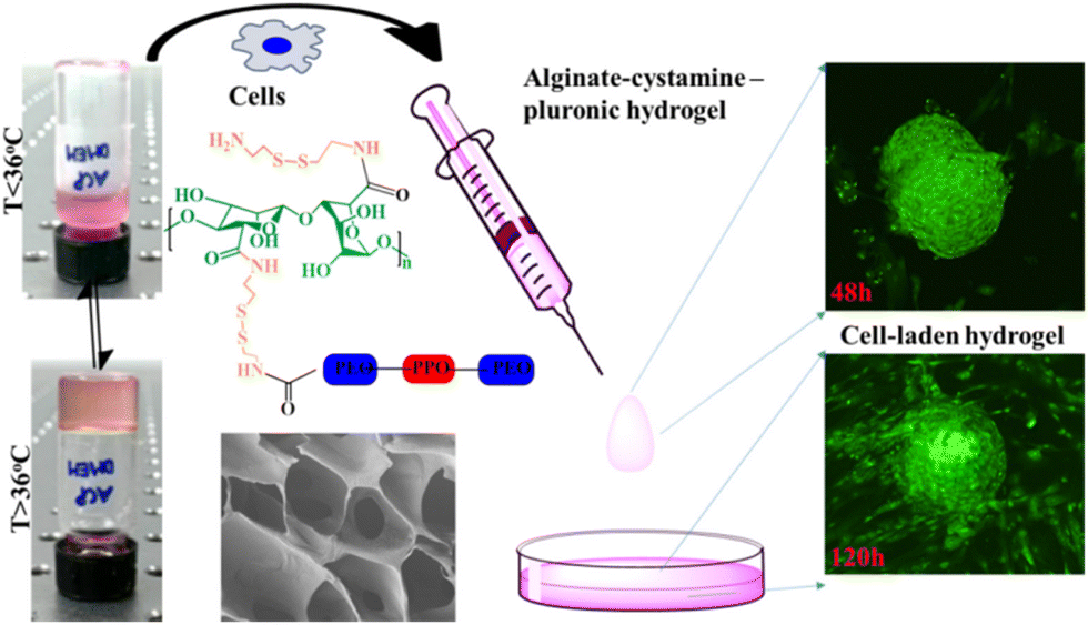 Recent progress of antibacterial hydrogel materials for biomedical 