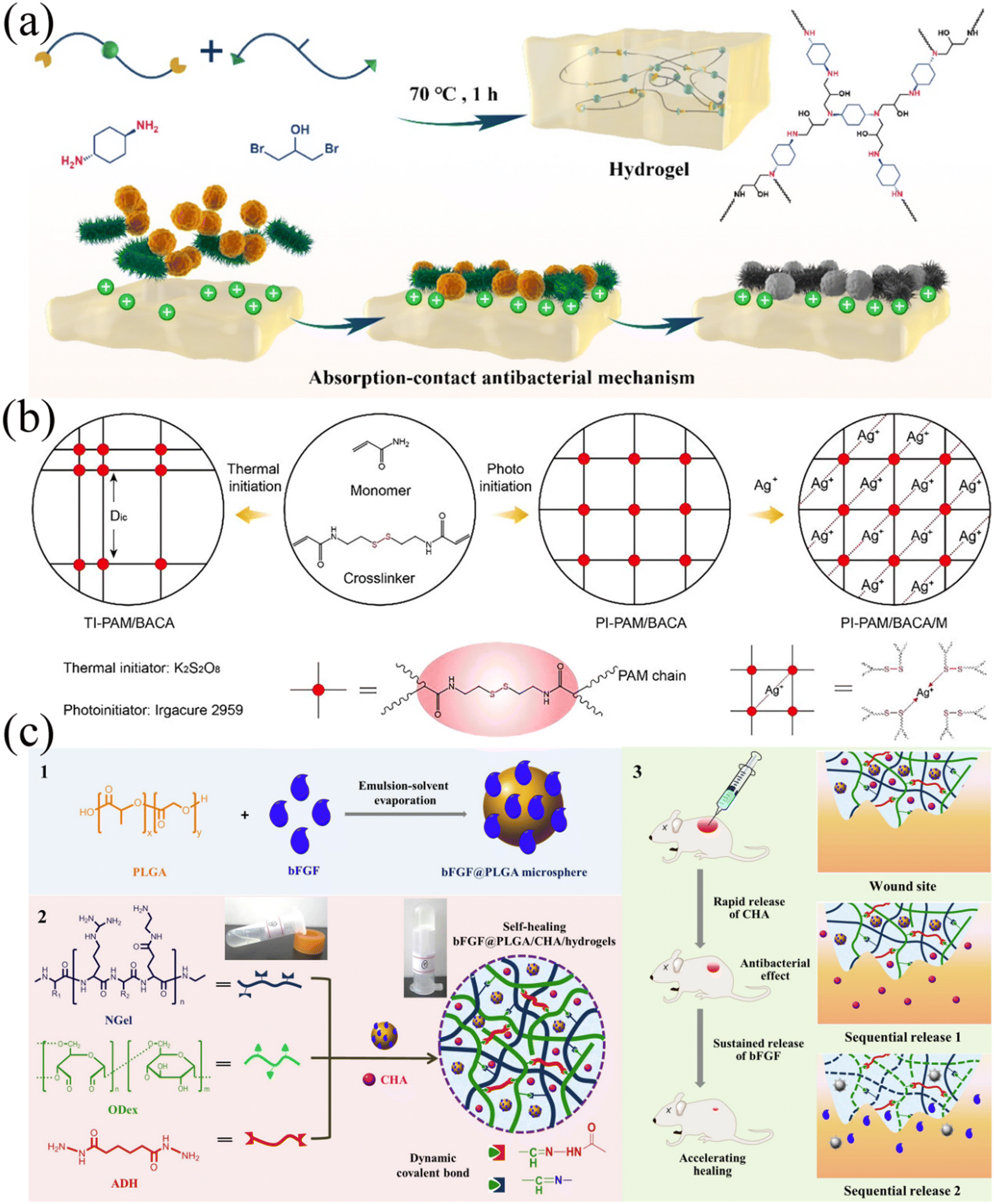 Recent progress of antibacterial hydrogel materials for Recent progress of antibacterial hydrogel materials for